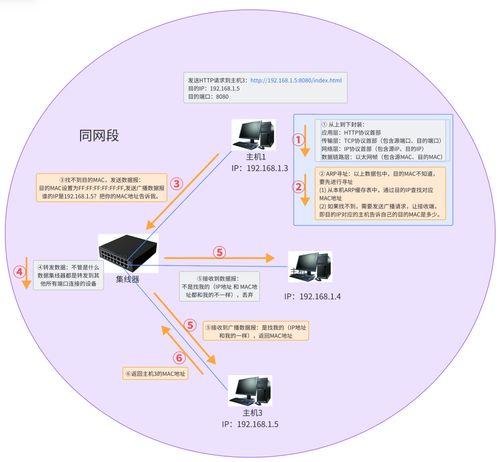 网络通信与数据传输流程在信息安全软件开发中的关键作用